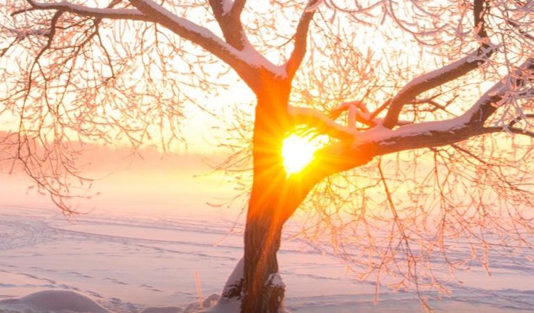 Feier der Krankensalbung und Krankensegnung